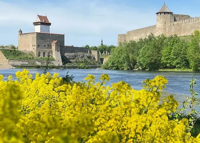 High Quality Lovely Appartement *